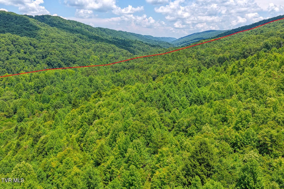 Photo #23: Tbd Beech Creek Road