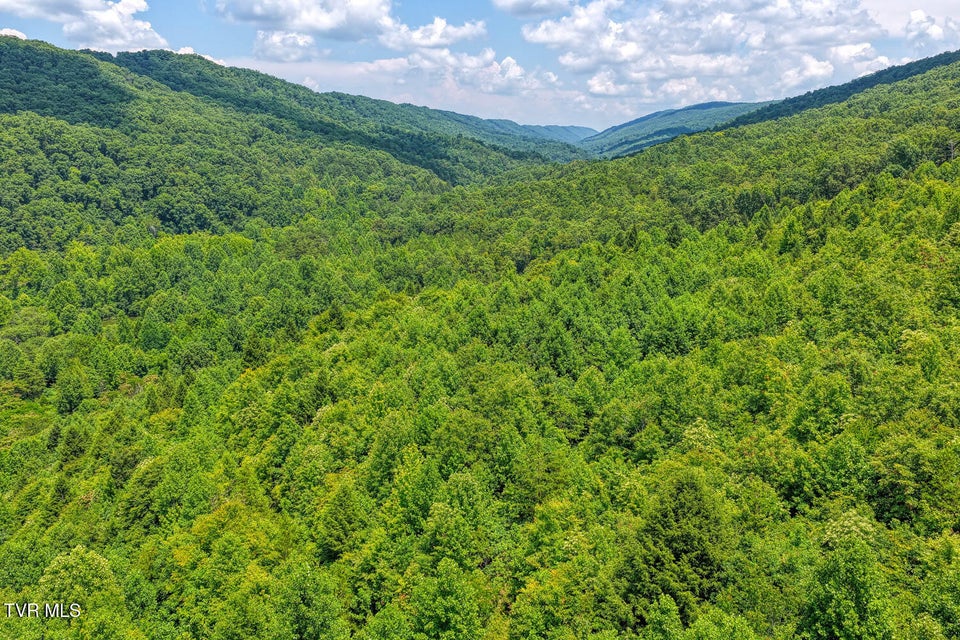 Photo #24: Tbd Beech Creek Road