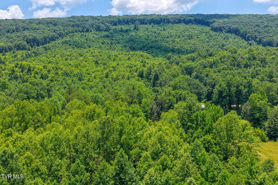 Photo #27: Tbd Beech Creek Road