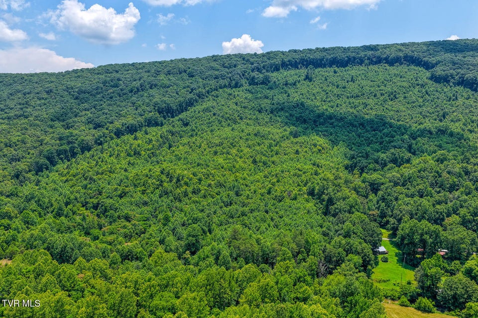 Photo #28: Tbd Beech Creek Road