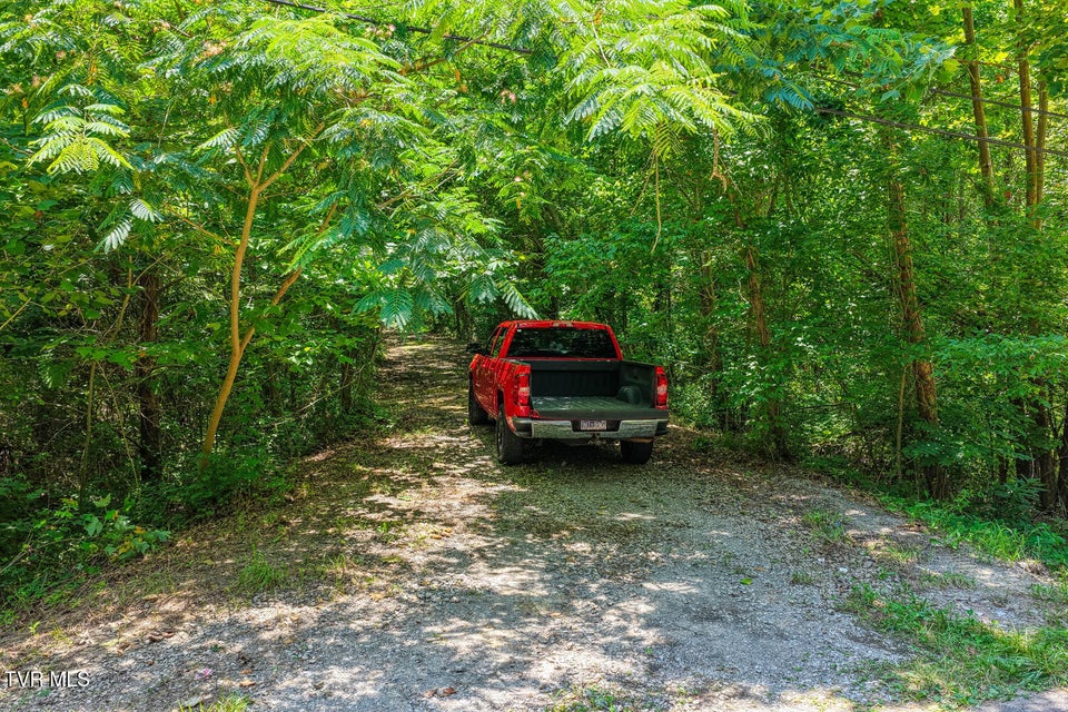 Photo #31: Tbd Beech Creek Road