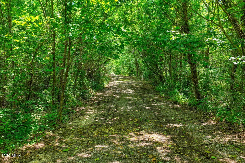 Photo #33: Tbd Beech Creek Road