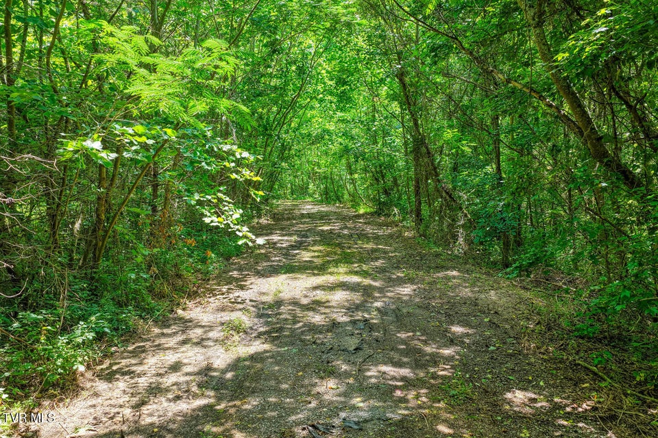 Photo #34: Tbd Beech Creek Road