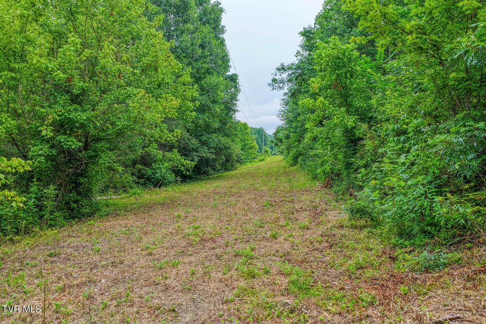 Photo #35: Tbd Beech Creek Road