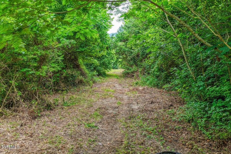 Photo #36: Tbd Beech Creek Road