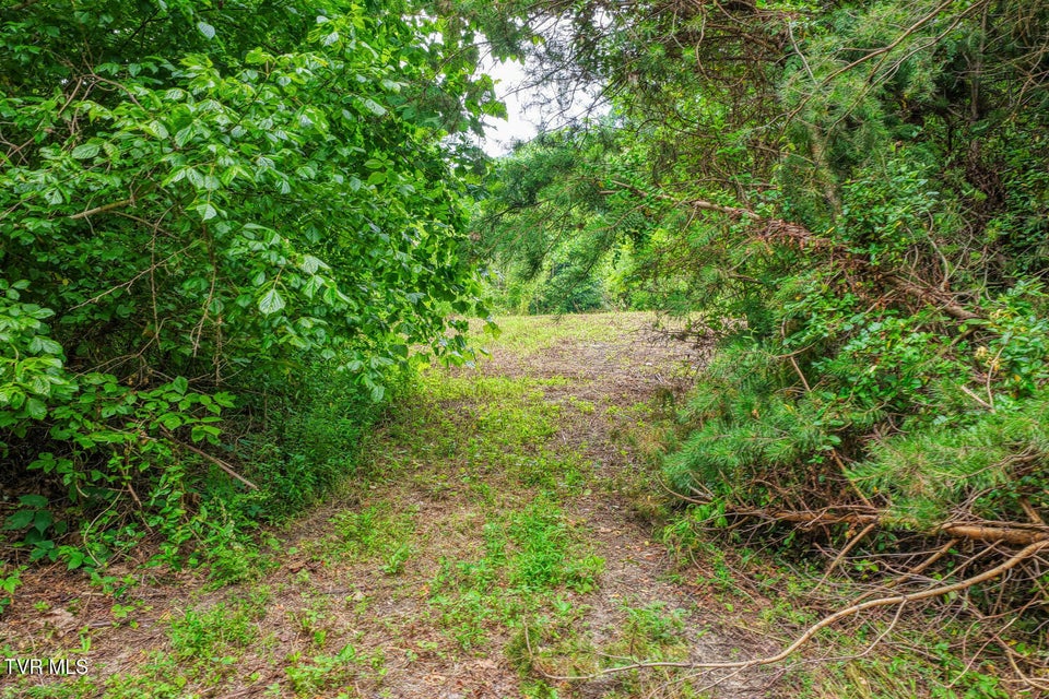 Photo #37: Tbd Beech Creek Road