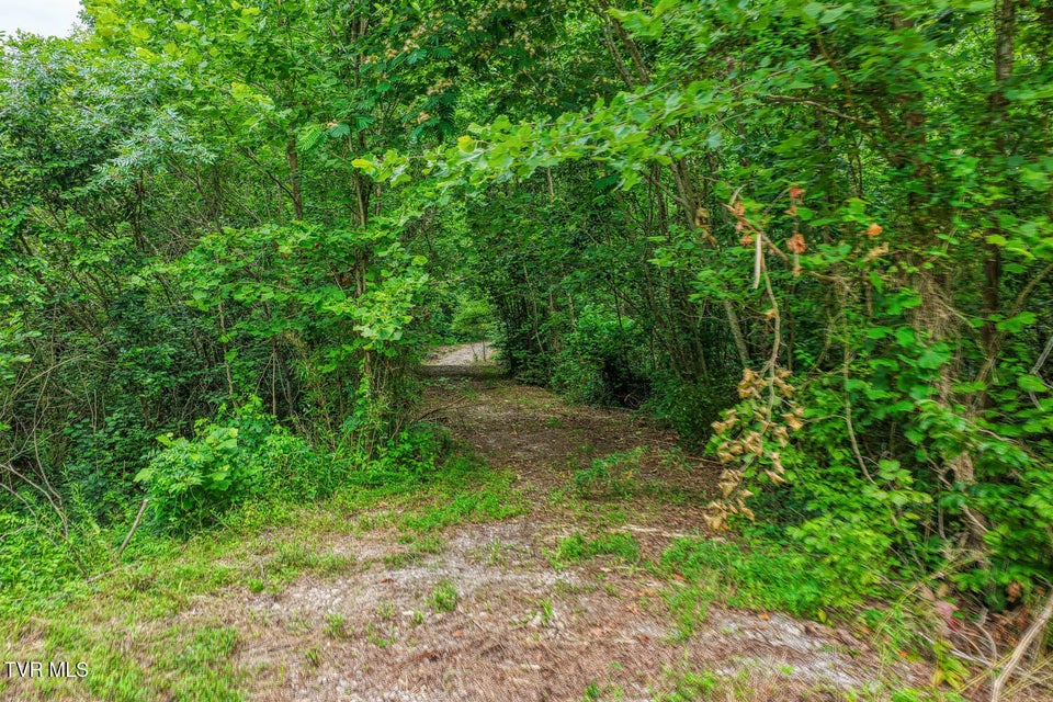 Photo #38: Tbd Beech Creek Road