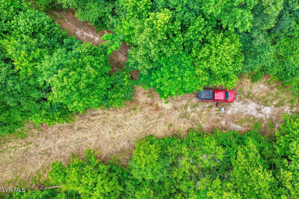 Photo #39: Tbd Beech Creek Road