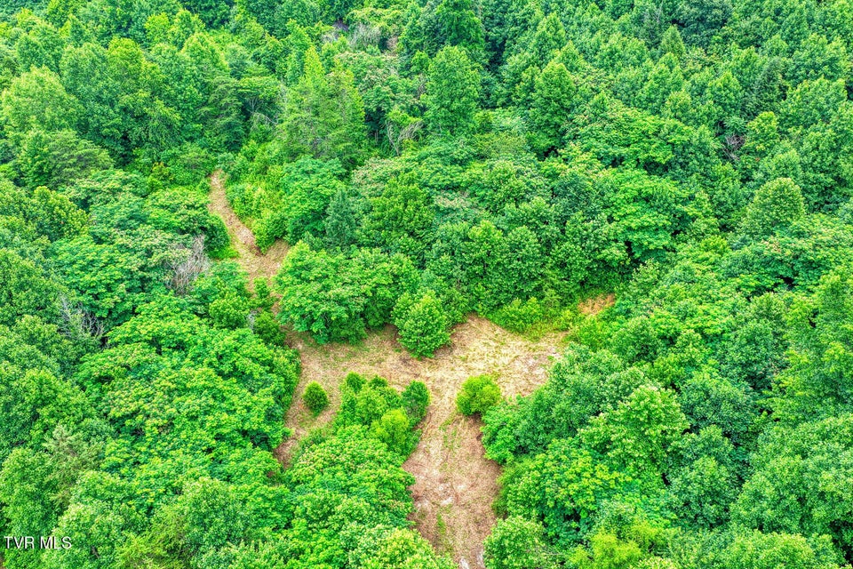Photo #40: Tbd Beech Creek Road