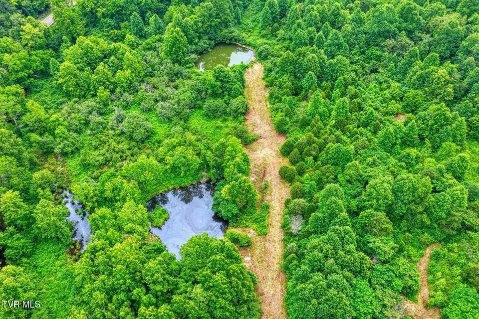 Photo #43: Tbd Beech Creek Road