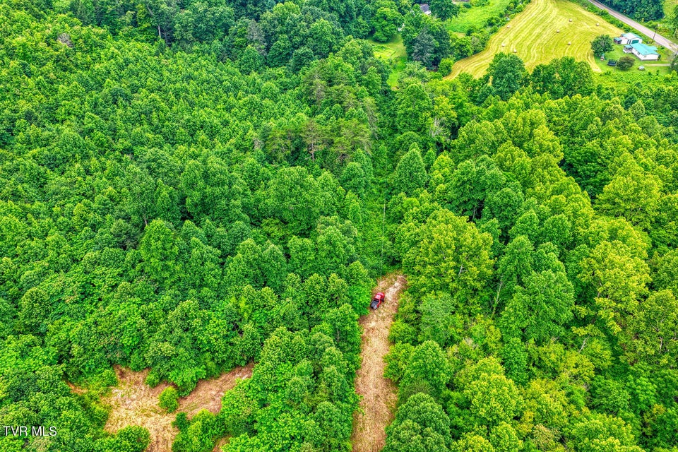 Photo #44: Tbd Beech Creek Road