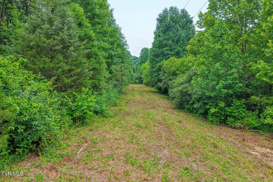 Photo #45: Tbd Beech Creek Road