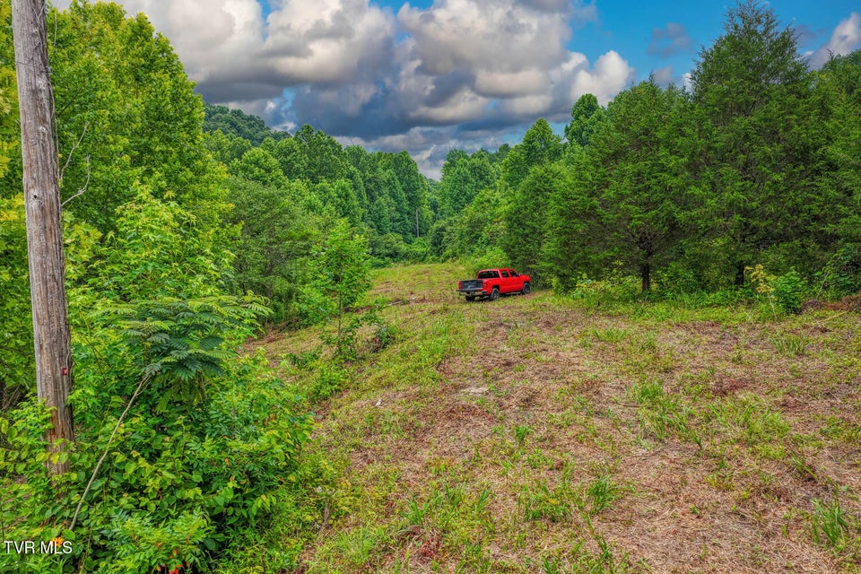 Photo #46: Tbd Beech Creek Road