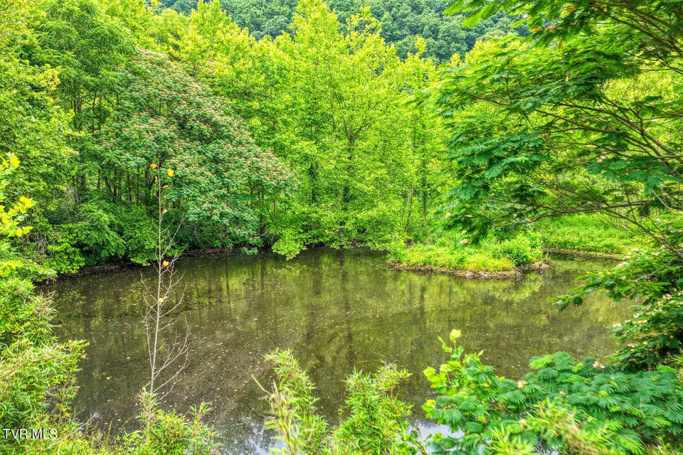 Photo #47: Tbd Beech Creek Road