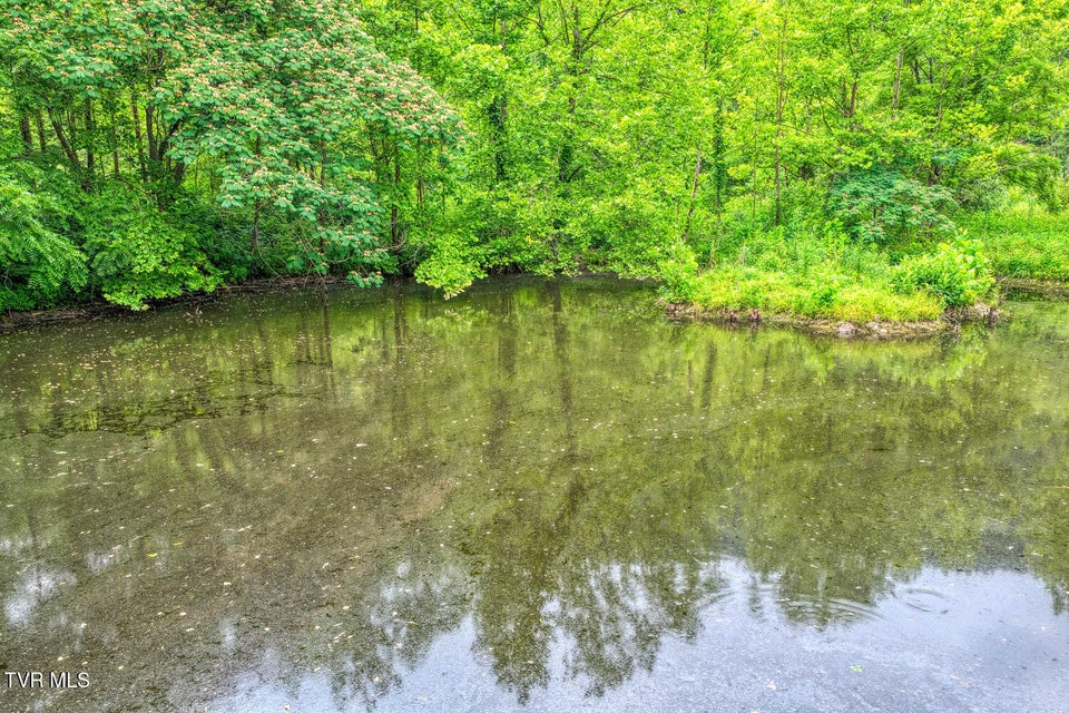Photo #48: Tbd Beech Creek Road