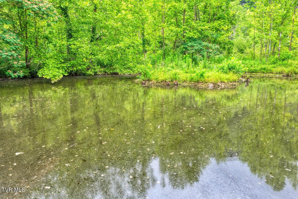 Photo #49: Tbd Beech Creek Road