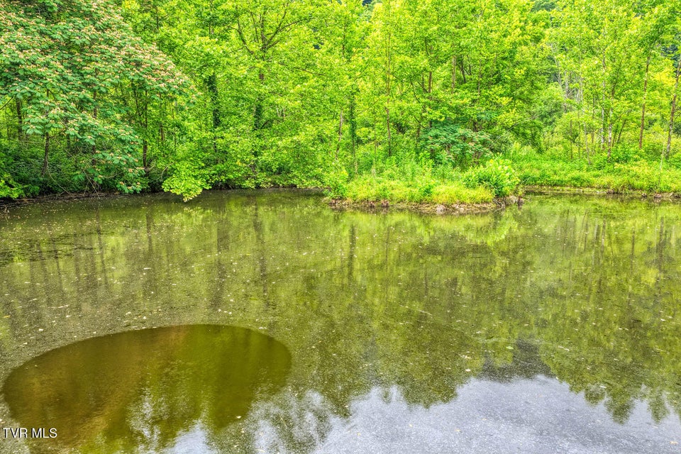 Photo #50: Tbd Beech Creek Road
