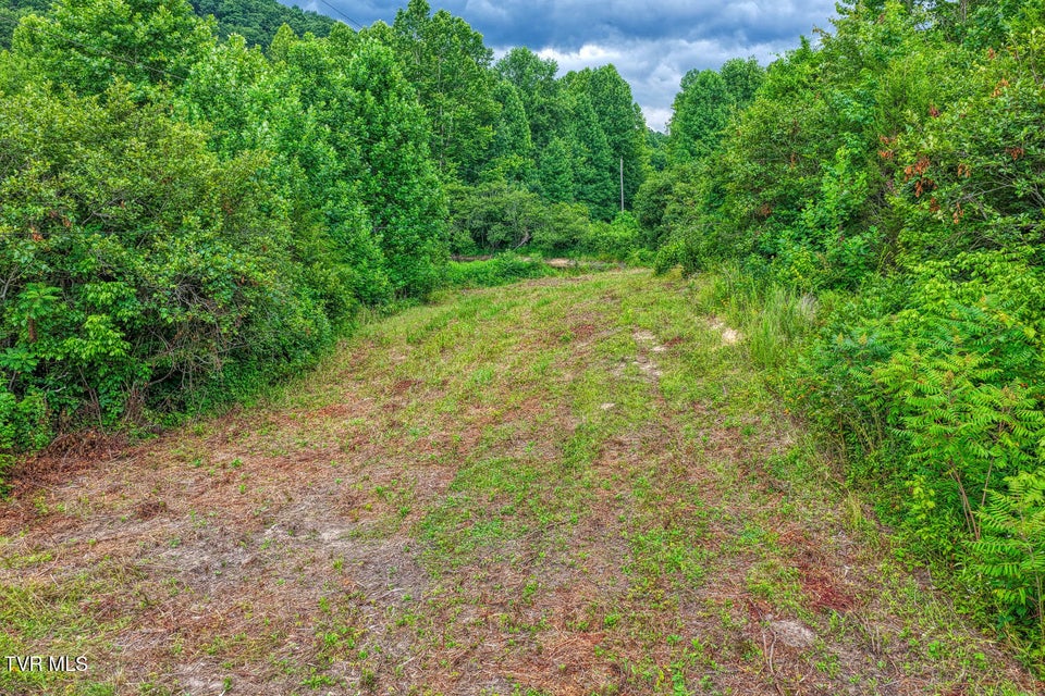 Photo #55: Tbd Beech Creek Road