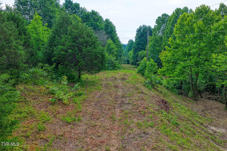 Photo #57: Tbd Beech Creek Road