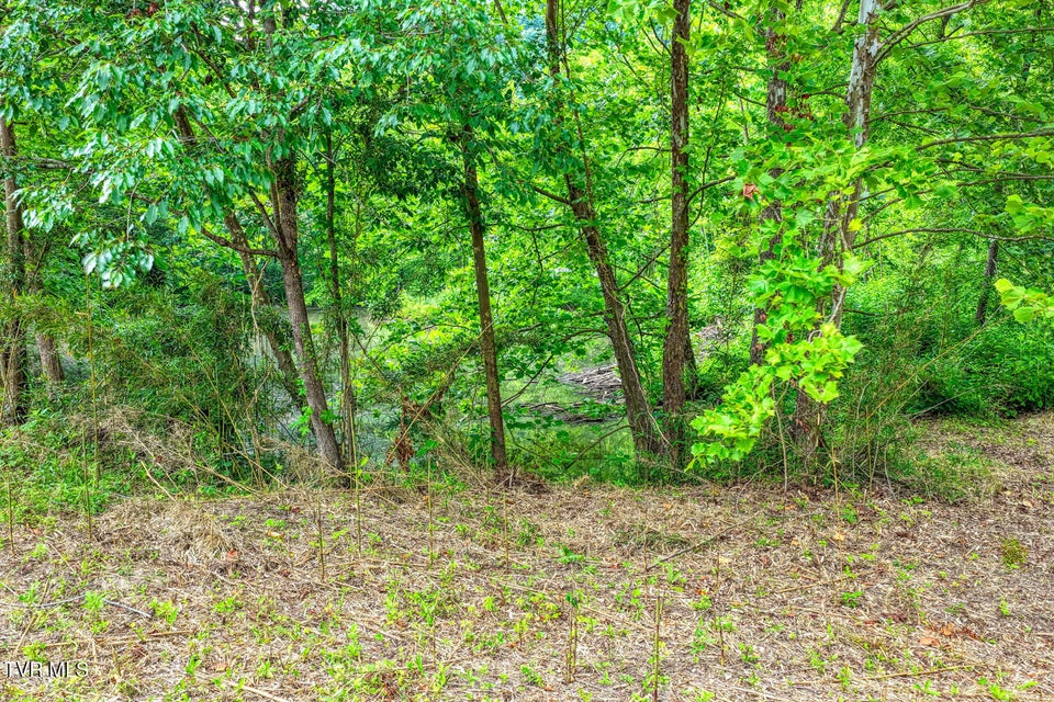 Photo #58: Tbd Beech Creek Road
