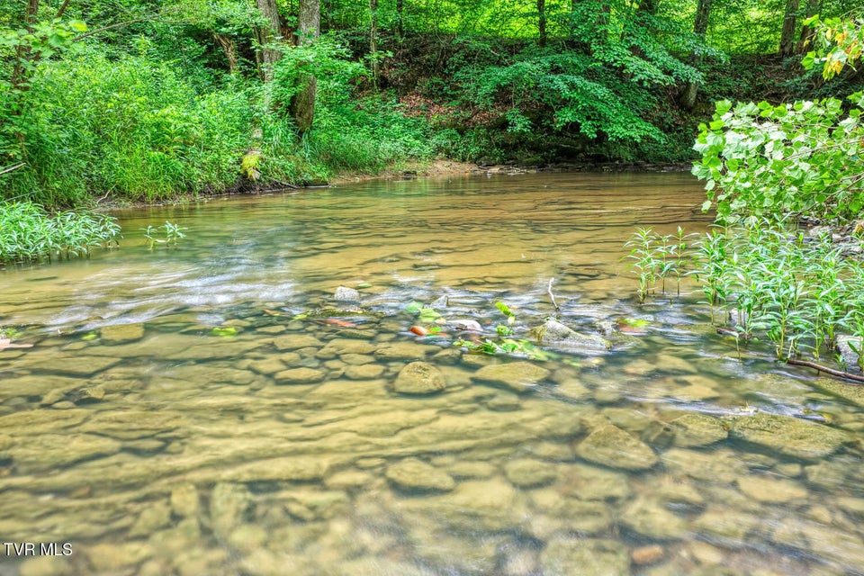 Photo #62: Tbd Beech Creek Road