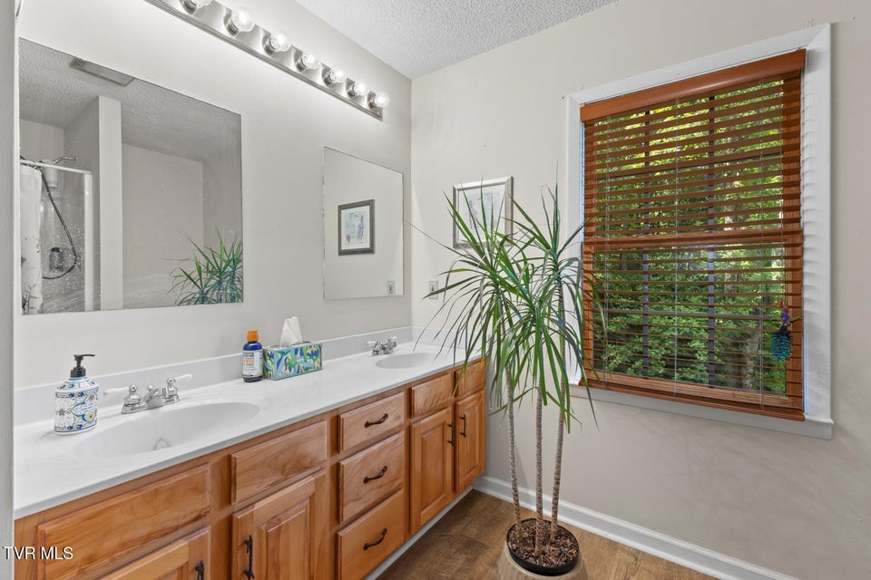 Photo #37: 103 Meadow Springs Court