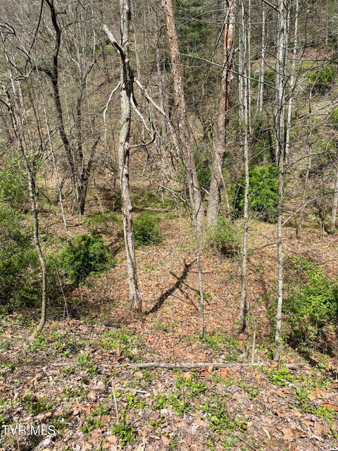 Photo #4: Tbd Crabtree Hollow