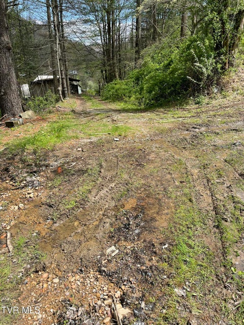 Photo #6: Tbd Crabtree Hollow