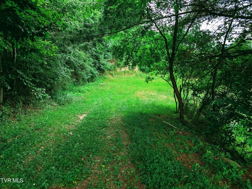 Photo #8: 1220 Rose Ridge 
