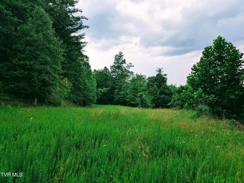 Photo #10: 1220 Rose Ridge 