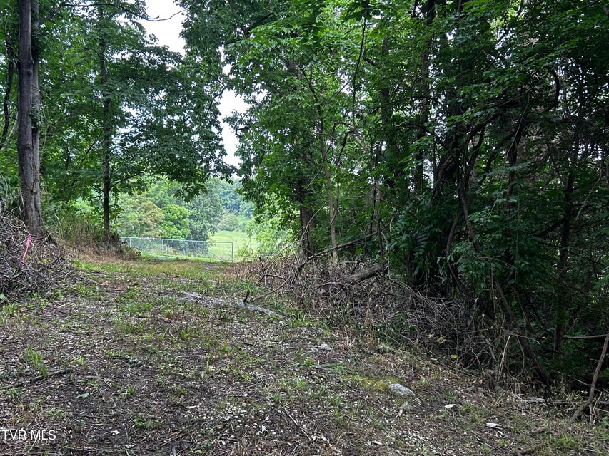 Photo #3: 198 Maple Tree Lane