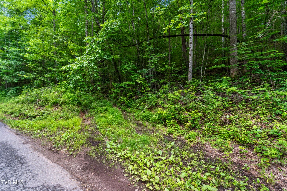 Photo #2: Tbd Speedwell Lane