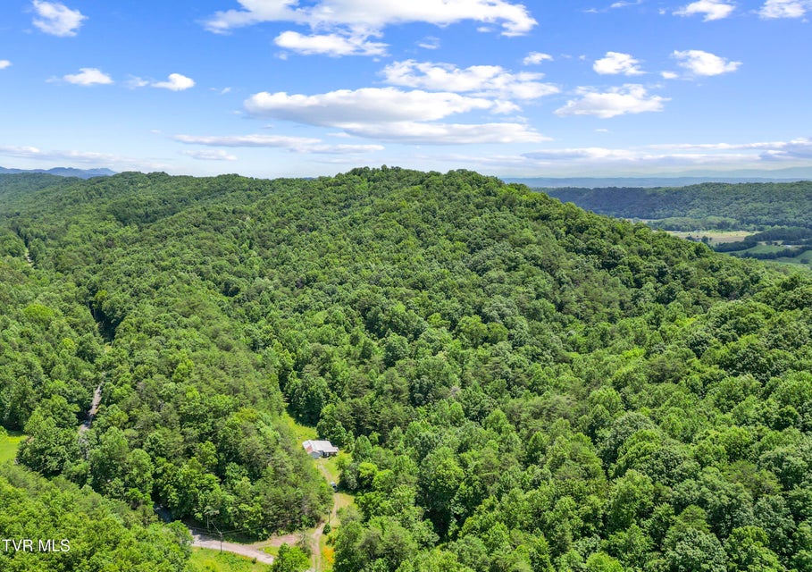 Photo #4: 1103 Speedwell Road
