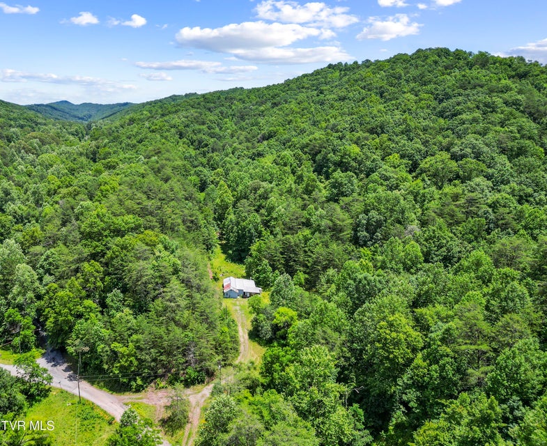 Photo #14: 1103 Speedwell Road