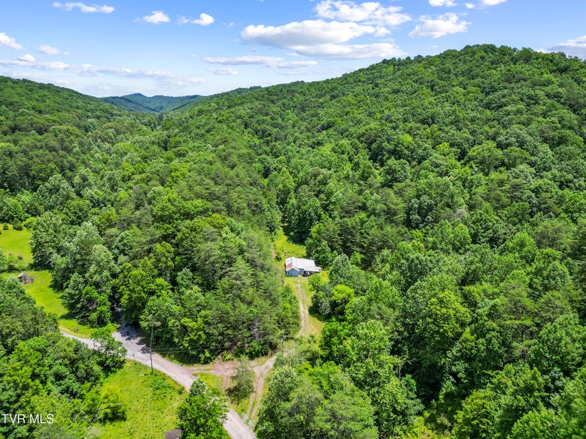 Photo #15: 1103 Speedwell Road