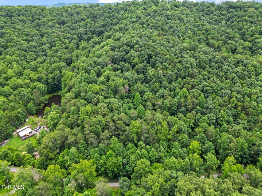Photo #16: 1103 Speedwell Road