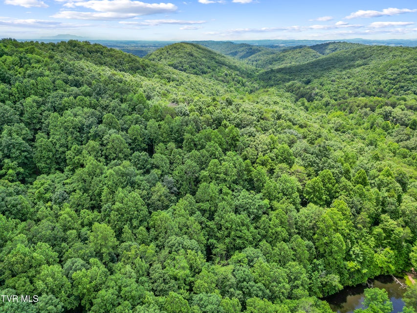 Photo #17: 1103 Speedwell Road