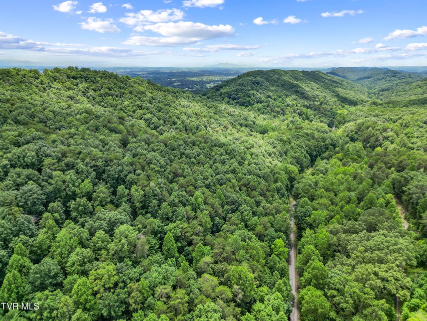 Photo #18: 1103 Speedwell Road