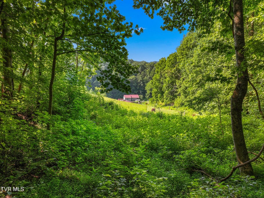 Photo #46: 1446 War Valley Road