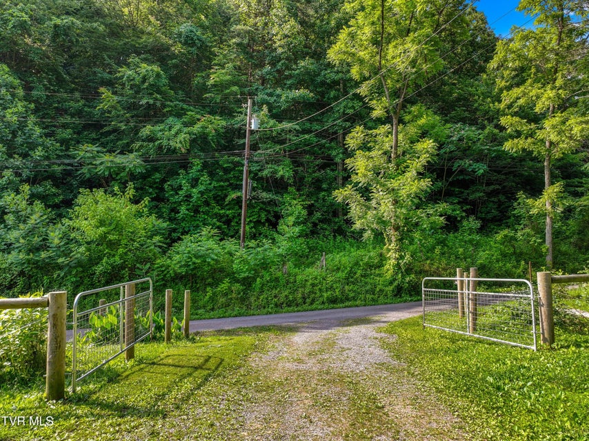 Photo #49: 1446 War Valley Road