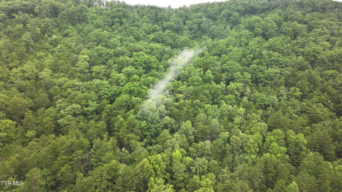 Photo #7: 901 Grassy Creek Road