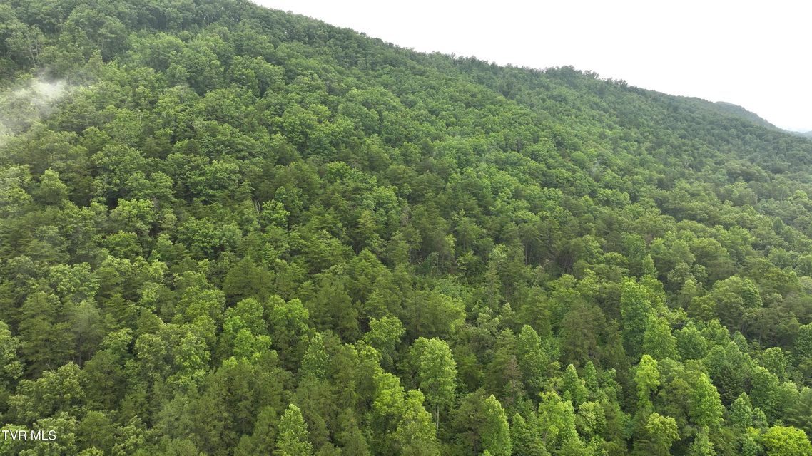 Photo #8: 901 Grassy Creek Road