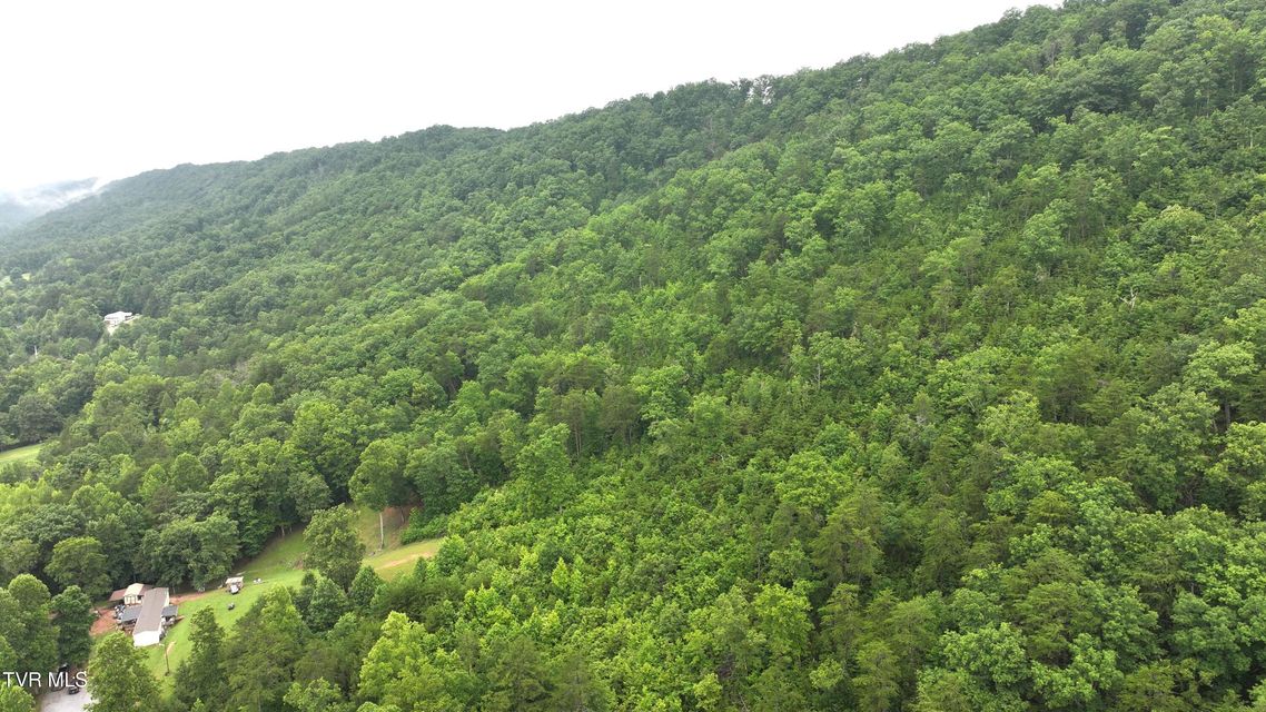 Photo #13: 901 Grassy Creek Road