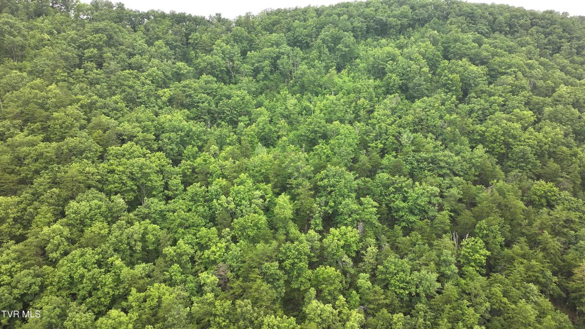 Photo #14: 901 Grassy Creek Road