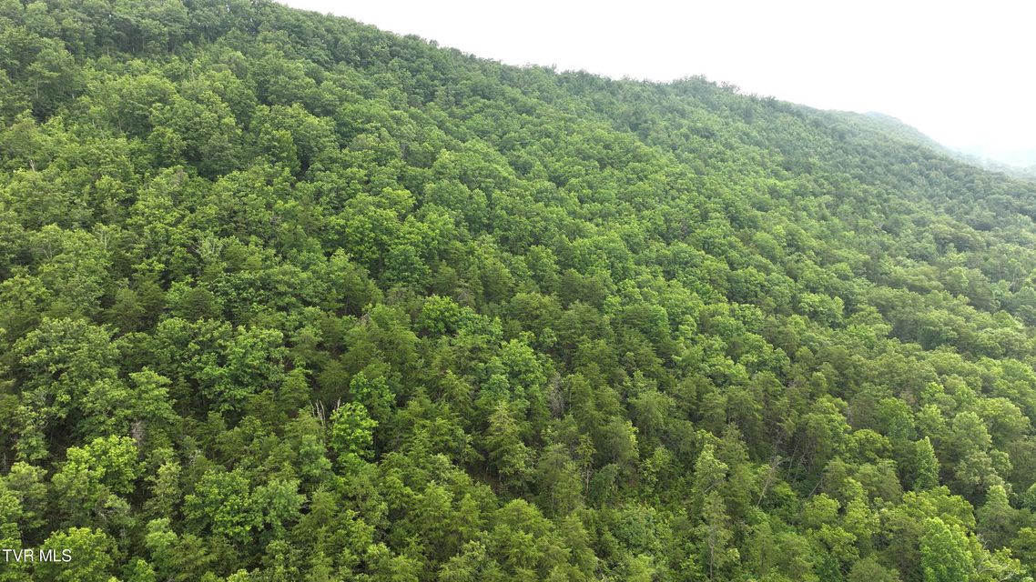 Photo #15: 901 Grassy Creek Road