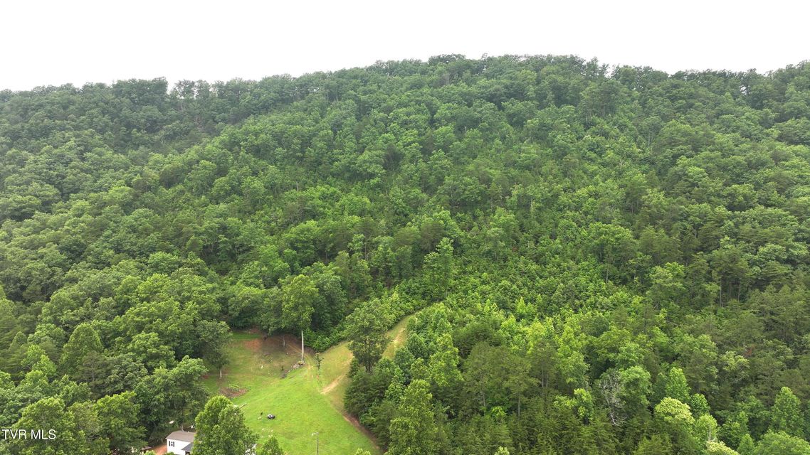 Photo #20: 901 Grassy Creek Road