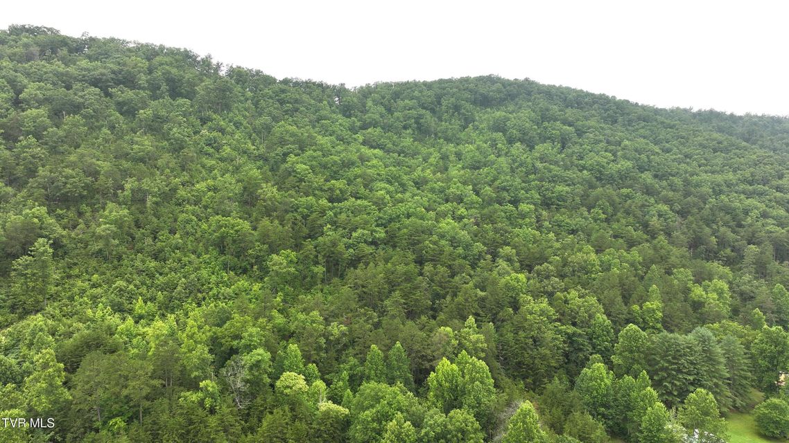 Photo #23: 901 Grassy Creek Road