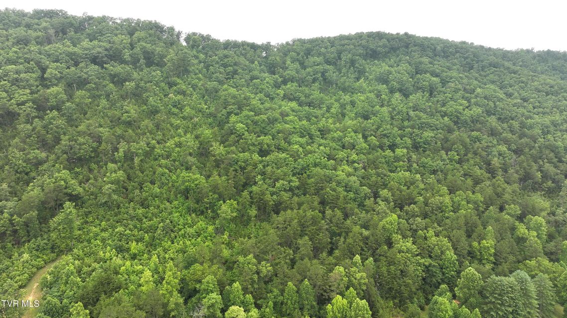 Photo #24: 901 Grassy Creek Road