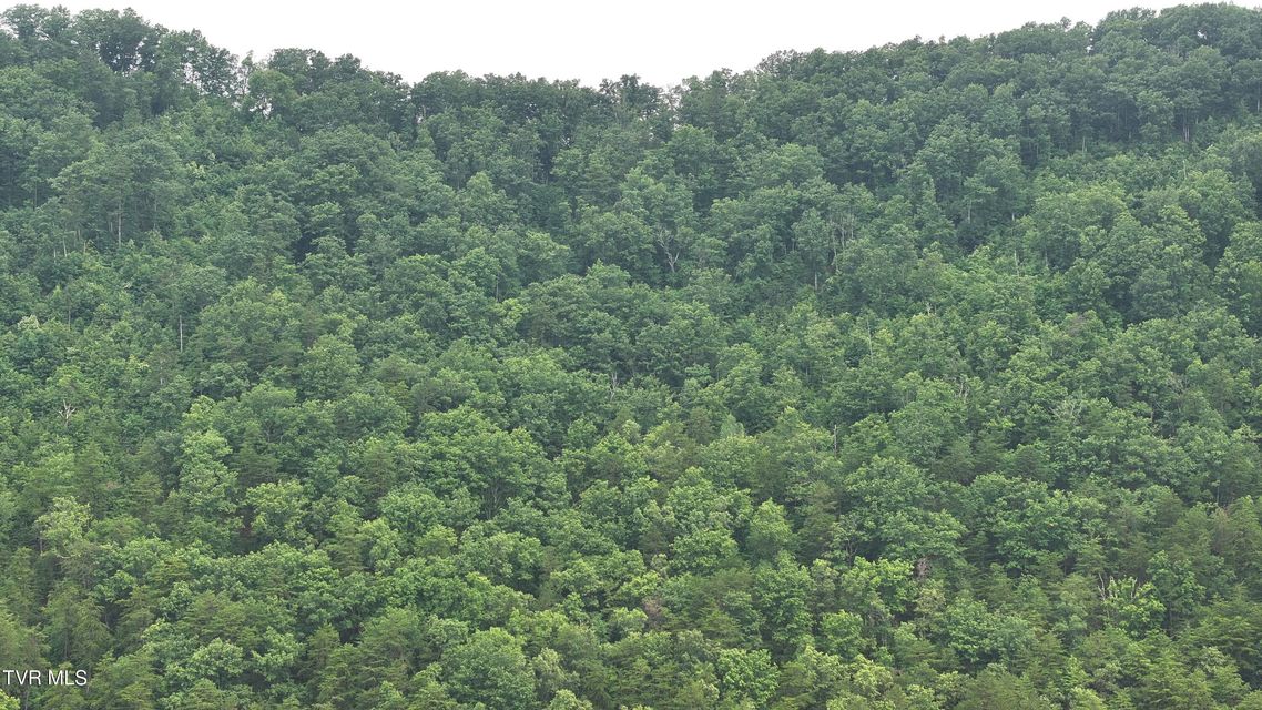 Photo #30: 901 Grassy Creek Road