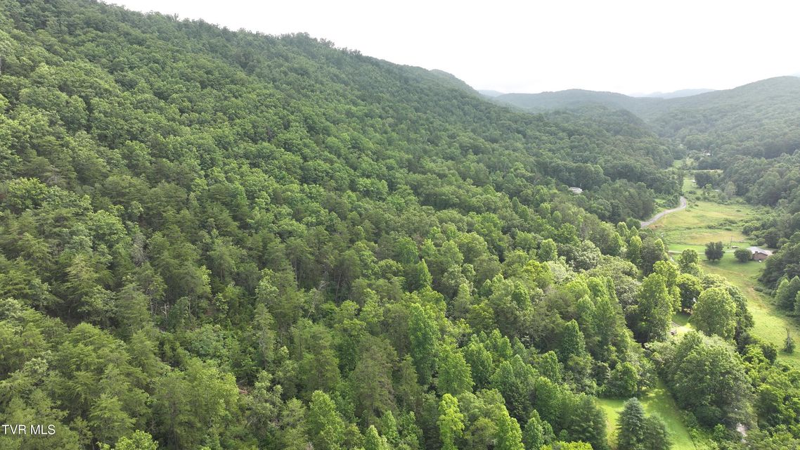 Photo #35: 901 Grassy Creek Road